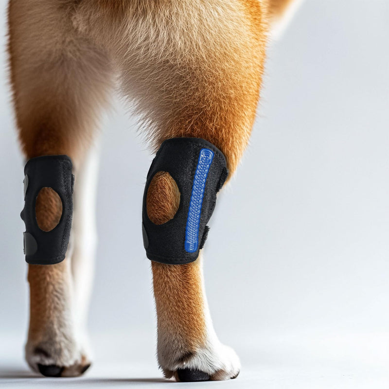 Dog Leg Brace for Rear and Front Leg, Hock & Ankle Support, Dog Knee Brace for Torn ACL & CCL,Replaceable Support (1 Pair Size L) - PawsPlanet Australia