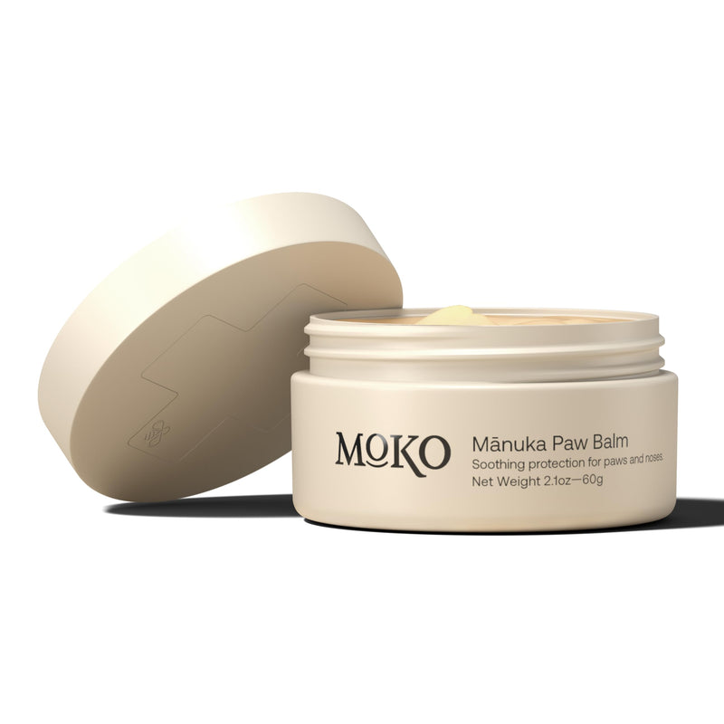 MoKo - Dog Paw Wax 60 g (2.1 oz) - Moisturizing Dog Paw Balm with Manuka Honey - Creates Barrier That Protects and Heals Dry Cracked Paws & Noses - Made with Natural Beeswax - PawsPlanet Australia