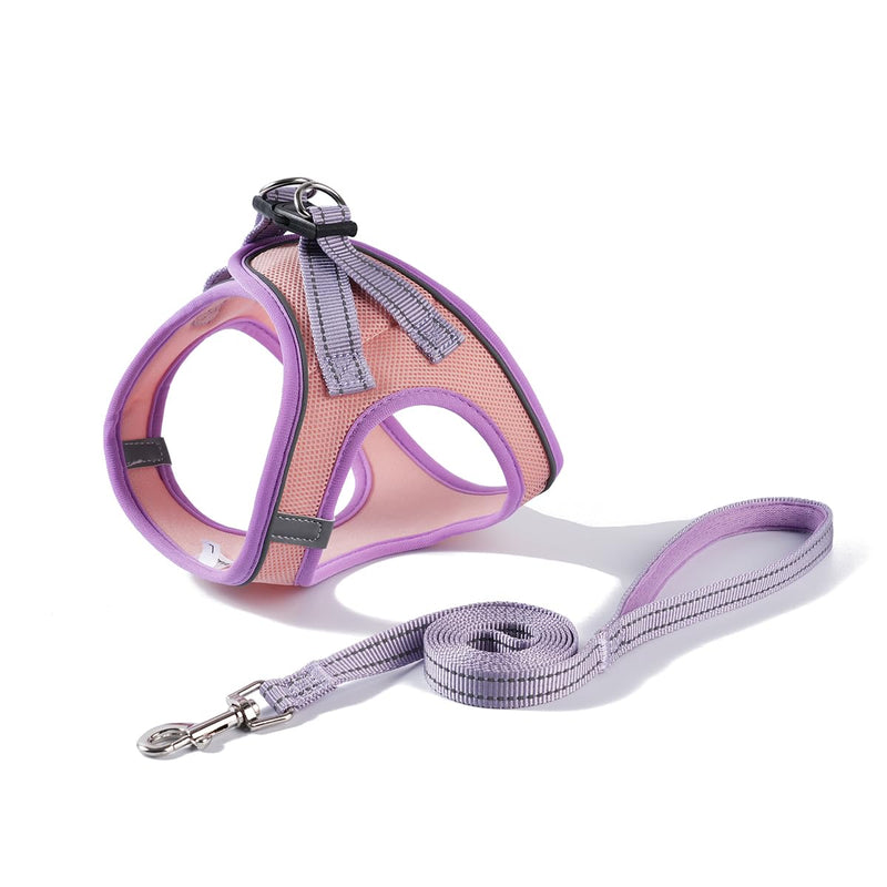 Soft Mesh Dog Harness and Leash Set, No-Chock Step-in Reflective Breathable Lightweight Easy Walk Escape Proof Vest Harnesses with Safety Buckle for Small Medium Dogs, Cats (Purple, Small) Purple - PawsPlanet Australia