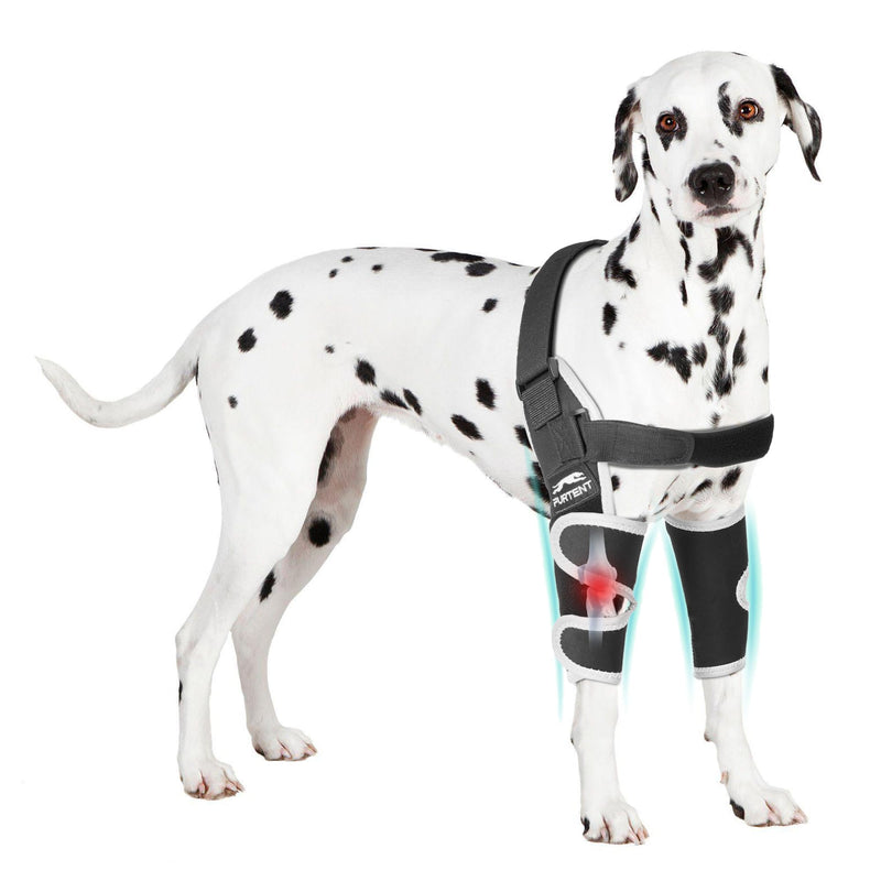 Dog Elbow Brace for Pets Elbow Dysplasia, Shoulder Dislocation - Offers Elbow Support, Reflective Pet Recovery Suit Taper Collar Alternative, Helps Wound Healing, Pet Wounds Prevent Licking, XL Both Legs - PawsPlanet Australia