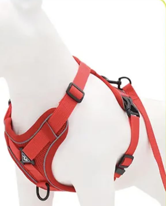 Adjustable no Pull Easy Walk Dog Harness car Harness Perfect for Training Walking Comfort cat and Dog Harness Dog Collars Suitable for Every Dog Size (Red, Large) - PawsPlanet Australia