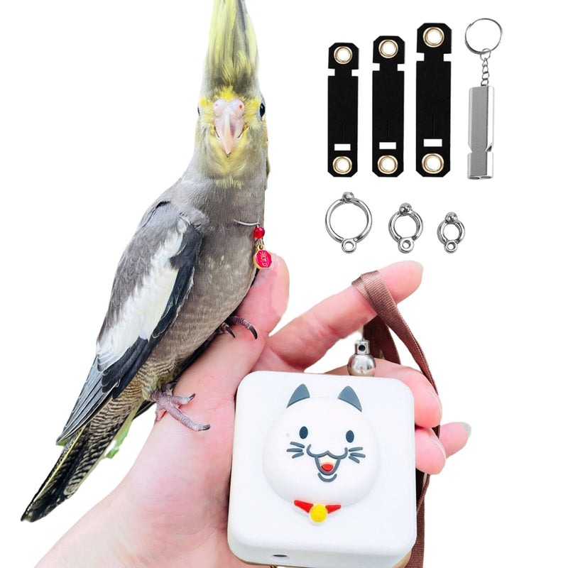 Bird Leash Bird Traction Rope Parrot Flying Rope Adjustable Small Animal Walking Harness 20FT/236IN with 6 Different Sizes of Soft Foot Ring (20FT, White cat) - PawsPlanet Australia
