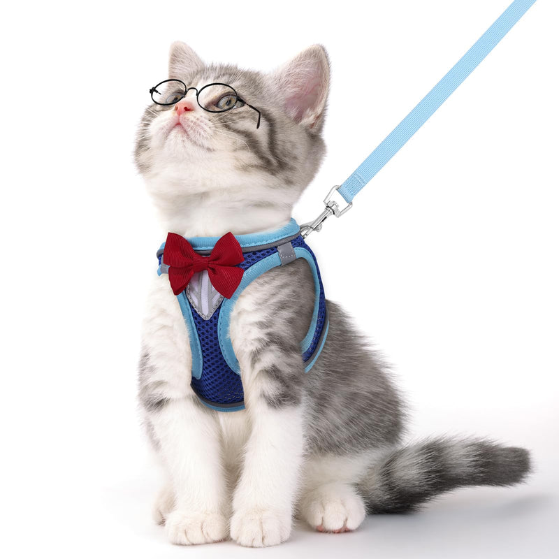 Cat Vest Harness and Leash Set for Walking, Escape Proof, Adjustable Kitten Harness, Breathable Mesh with Reflective Strips, Detective Conan-Inspired Design, Blue, Medium M - PawsPlanet Australia