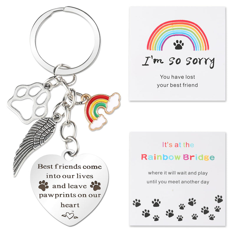 Pet Memorial Keychain Cat and Dog Memorial Gifts, Memorial Gifts for Loss of Pet Leave Pawprints on Our Heart Rainbow Bridge Pet Keychain Memorial Gift - PawsPlanet Australia