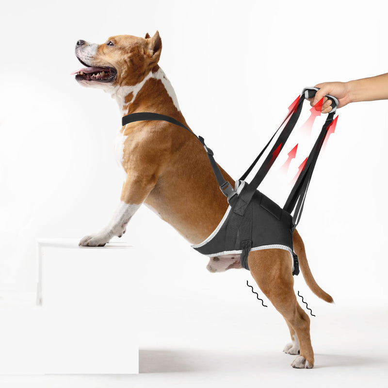 Dog Lift Harness for Large Dogs - for Senior Dogs and Pets with Weak Legs, Upgraded Adjustable Hind Leg Sling Set, Help Dog Go Up and Down The Stairs, L - PawsPlanet Australia