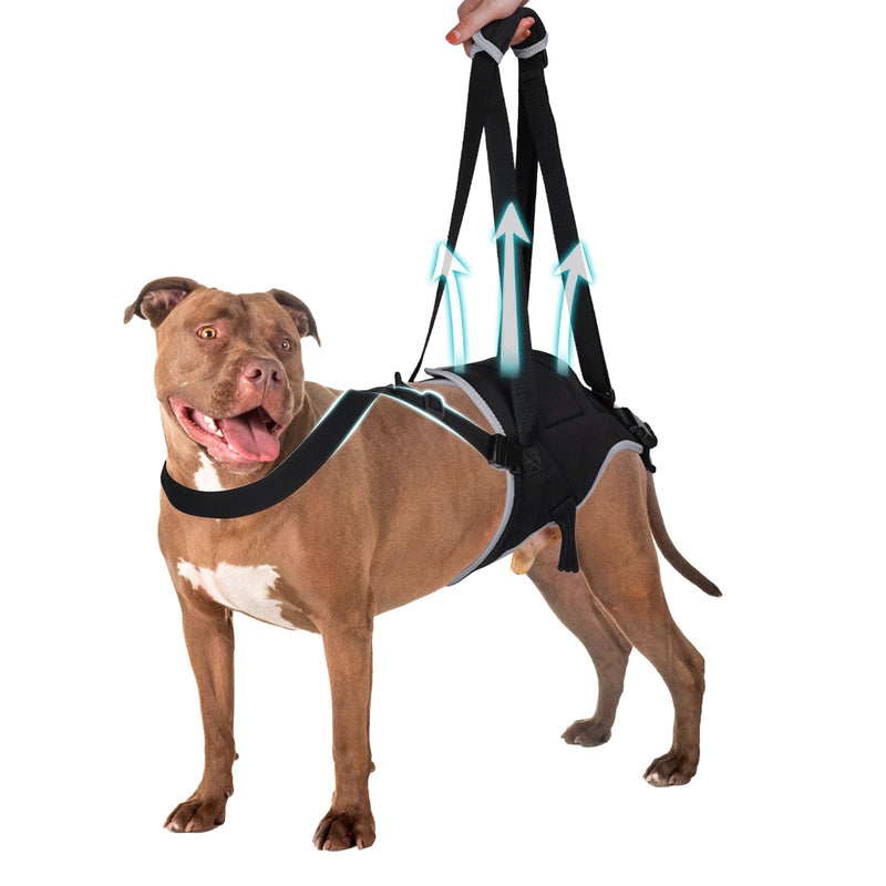 Dog Sling for Large Dogs Rear Leg Support, Adjustable Sling Support for Large Dogs Hind Legs, Hip & Back Leg Joint Injury Dog Lift, Help Me up Harness for Pets,XL XL Dog Lift Harness - PawsPlanet Australia