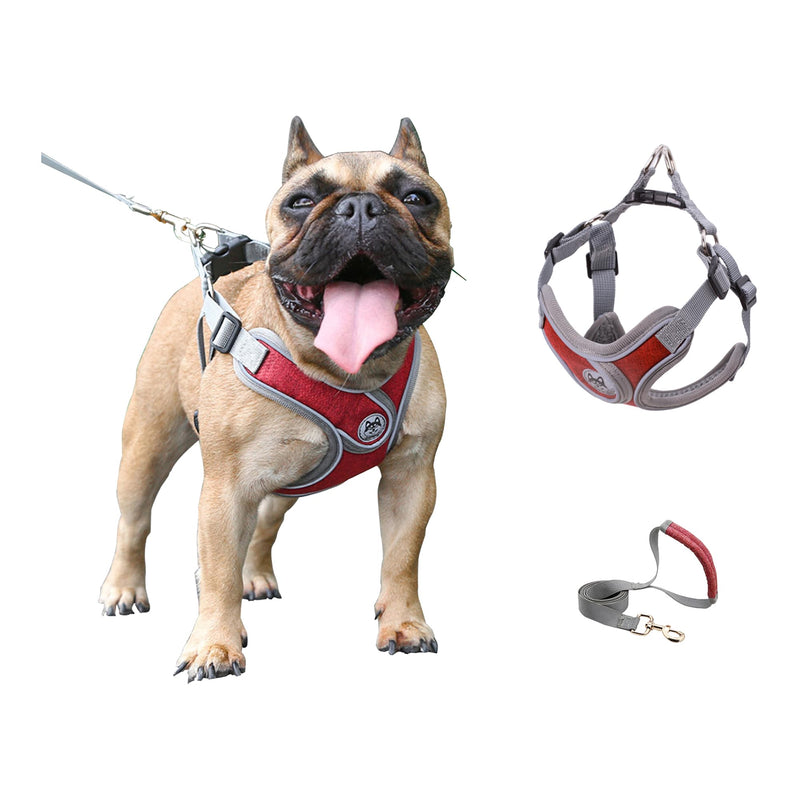 Dog Harness with Leash Set,No Pull Adjustable Vest Harness,Lightweight Easy Walk Dog & Cat Harness,Pet Harnesses Reflective for Puppy Small Medium and Large Dogs and Cats (Red, S) Red - PawsPlanet Australia