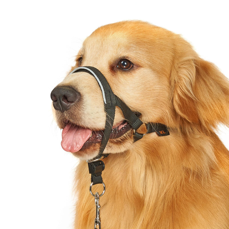 BARKLESS Head Collar for Dogs, No Pull Head Halter for Large Medium Small Dogs, Dog Halter Stops Heavy Pulling, Muzzle Leash with Padded Safety Strap for Walking Training(Black, M) M (Snout 6 ¾-8 ¾") Black - PawsPlanet Australia