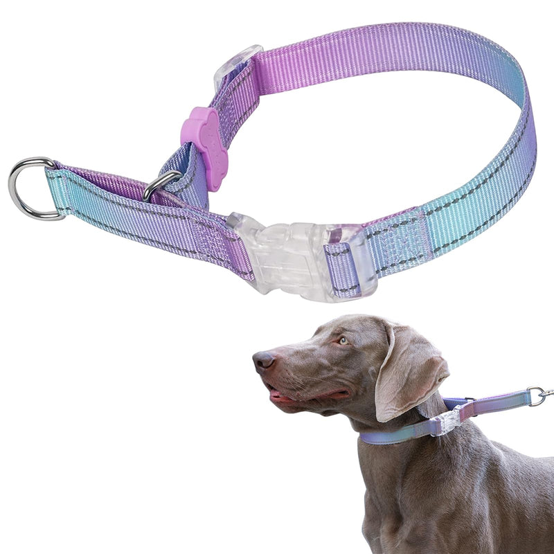 BELLA & PAL Martingale Collar for Medium Large Dogs, Adjustable Dog Collar with Quick Release Buckle, Limited Slip Design Escape Proof Choke No Pull Reflective Nylon Dog Collar for Training & Walking M(length:13''-16'') Gradient Lavender - PawsPlanet Australia