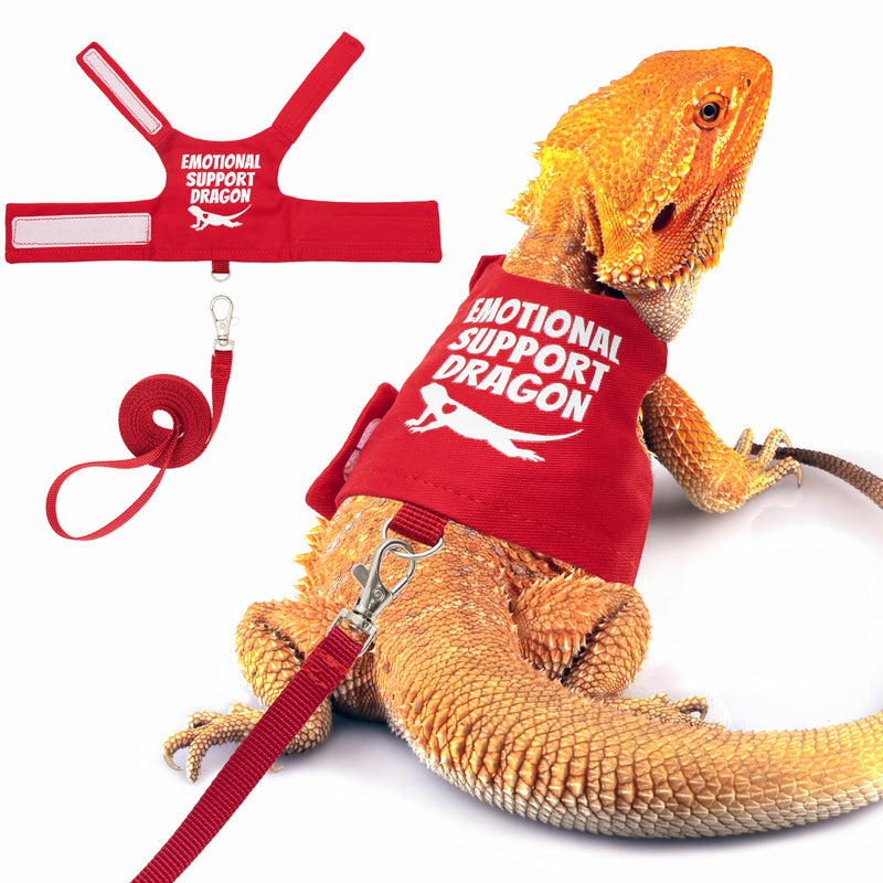 Bearded Dragon Harness and Leash Set - Escape Proof Adjustable Lizard Reptiles Harness with 5 ft Short Leash for Walking Outdoor Red - PawsPlanet Australia