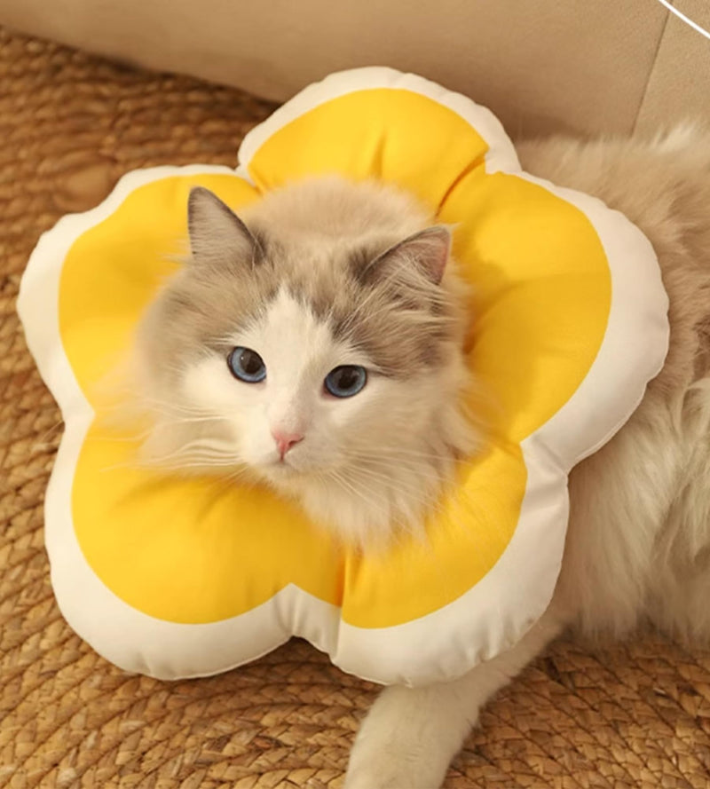 Cute Cat Cone Soft Collar to Stop Licking, Flower Shape Recovery Collar for Dog, Neck Pillow After Surgery for Kittens, Anti-Bite Lick Wound Healing Safety Elizabethan e Collar for Cats (Yellow, S) Yellow - PawsPlanet Australia