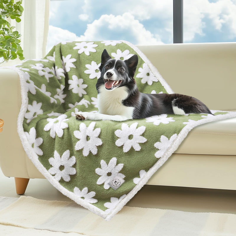 Luciphia Waterproof Pet Blanket for Medium Large Dogs Washable Fluffy Thick Jacquard Shag Fleece Warm Sherpa 3D Textured Flower Print for Cats Puppy Couch Protection (Green,57x40 inches) Green 57x40 inches - PawsPlanet Australia