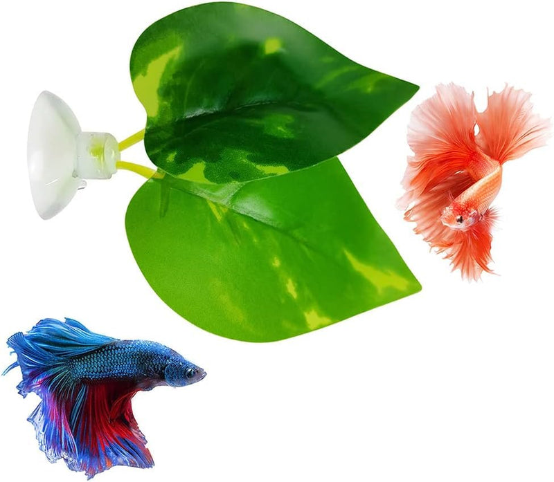Betta Leaf Hammock Silicone Peace Plant Accessories, Beta Fish Leaf Rest Pad Bed, Beta Tank Decorations (1-Pack) - PawsPlanet Australia