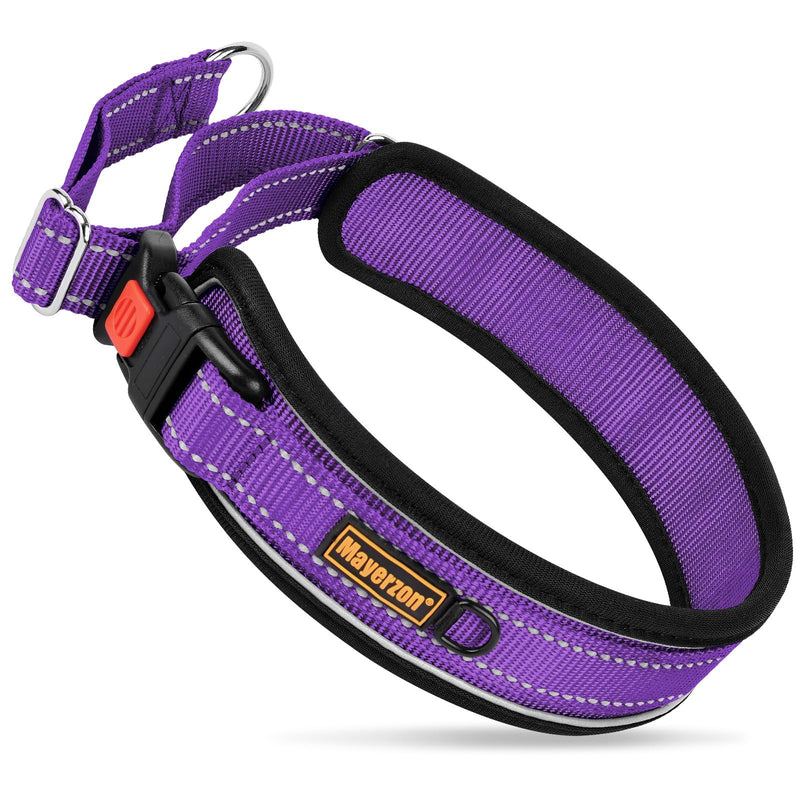 Mayerzon Martingale Dog Collar, 2 inch Wide Reflective Walking Collar for Large Medium Dogs, Adjustable Nylon No Pull Dog Collar with Buckle for Training Pitbull German Shepherd Rottweiler Dobermann - PawsPlanet Australia