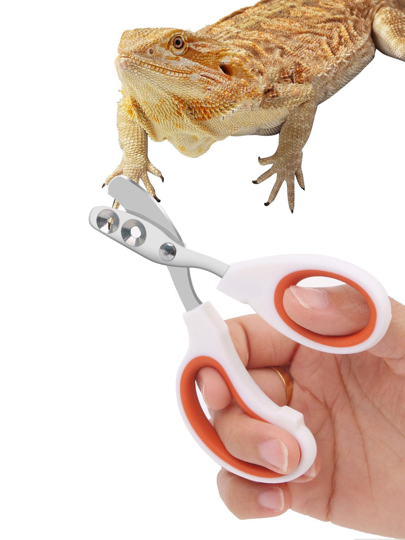 Stainless Steel Bearded Dragon Nail Clippers,Lizard Nail Clippers,Bearded Dragon Supplies,Bearded Dragon Nail Scissors for Small Reptiles,Turtle,Chameleon,Iguana，Hedgehog（Orange） Orange - PawsPlanet Australia