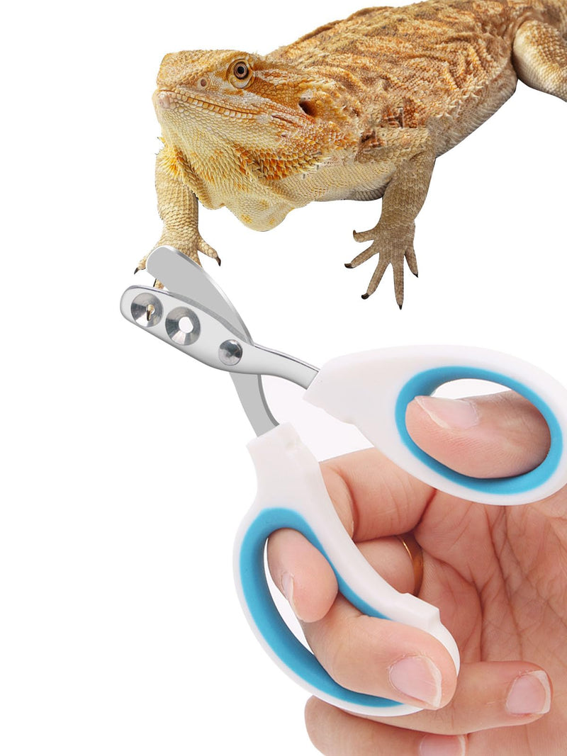 Stainless Steel Bearded Dragon Nail Clippers,Lizard Nail Clippers,Bearded Dragon Supplies,Bearded Dragon Nail Scissors for Small Reptiles,Turtle,Chameleon,Iguana?Hedgehog?Blue? Blue