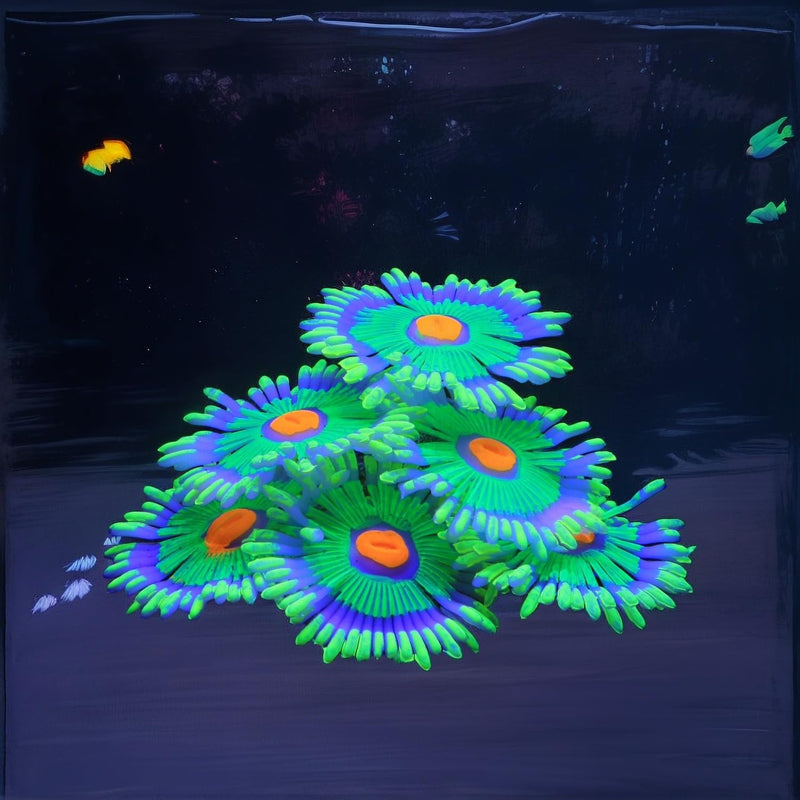 Glowing Effect Fish Tank Aquarium Decorations, Artificial Silicone Plants Ornaments for Fish Tank Landscape Decor Glow in The Dark Soft Anemone for Small Fish Bowl Decor Green - PawsPlanet Australia