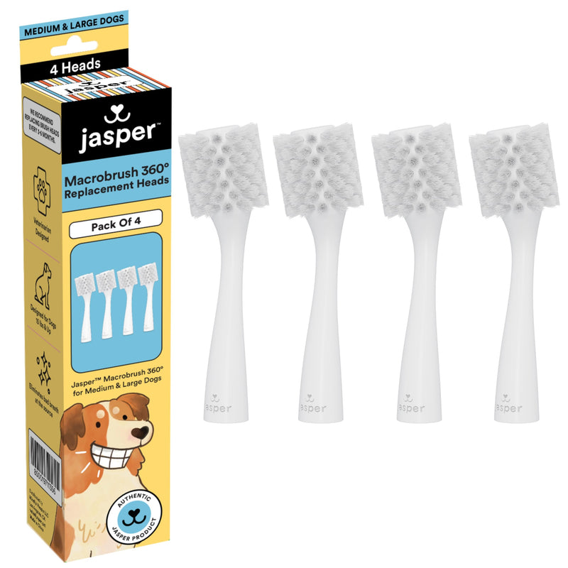 Jasper 4 Pack Replacement Brush Heads for Macrobrush 360° - Dog Toothbrush Kit for Dog Teeth Cleaning for Medium to Large Dogs, Pet Toothbrush to Keep Dog Teeth Clean & Dog Breath Fresh - PawsPlanet Australia