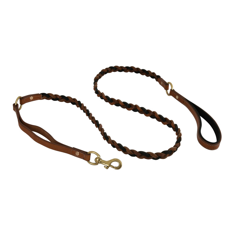Double Handle Leather Dog Leash, 6 ft, Heavy Duty Braided, Traffic Handle for Small, Medium & Large Dogs (Charcoal) Charcoal - PawsPlanet Australia