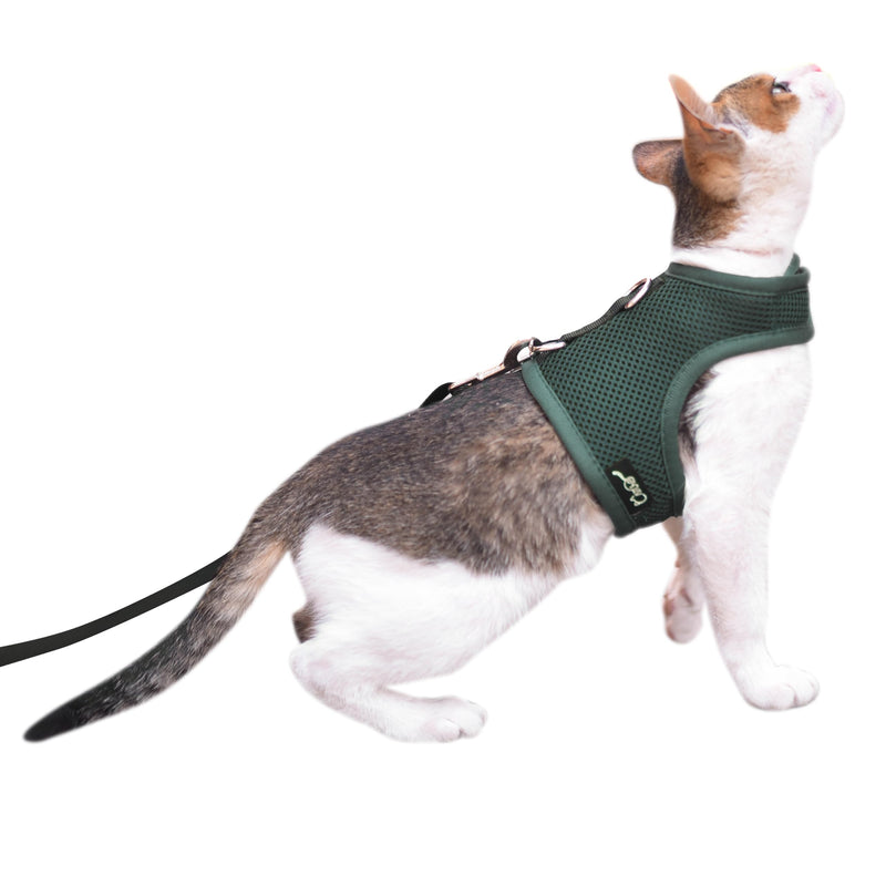 Cat Harness and Leash for Walking Escape Proof Breathable Mesh Fabric, Solid Green, Large, Adjustable Cat Walking Jackets, Padded Stylish Cat Vest L 8-12LBS Solid Green Mesh - PawsPlanet Australia