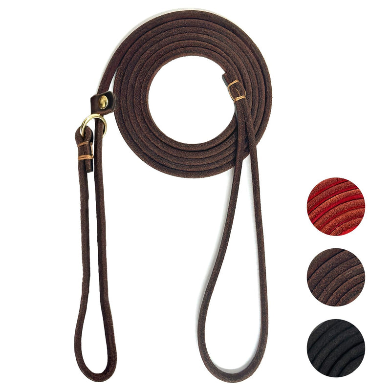 Guiding Star Leather Slip Lead Dog Leash for Small Dogs & Puppies 6 Ft x 1/4 Inch,Luxurious and Lightweight Leather Training Dog Leash for Walking with Soft Handle (Brown) Slip Leash Brown - PawsPlanet Australia