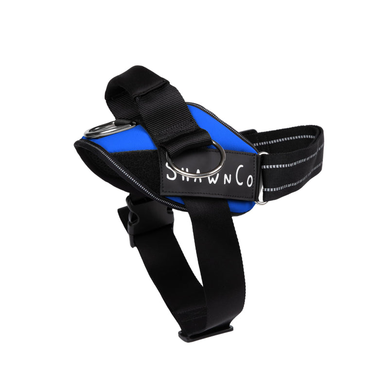 ShawnCo Essential Pro Dog Harness, No-Pull Pet Vest with 3 Leash Clips and Removable, Reflective Side Patches, Adjustable and Padded Harness for Small, Medium and Large Dogs (Electric Blue, S) Electric Blue - PawsPlanet Australia