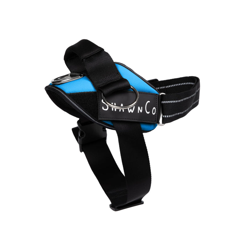 ShawnCo Essential Pro Dog Harness, No-Pull Pet Vest with 3 Leash Clips and Removable, Reflective Side Patches, Adjustable and Padded Harness for Small, Medium and Large Dogs (Oceanic Blue, M) Oceanic Blue