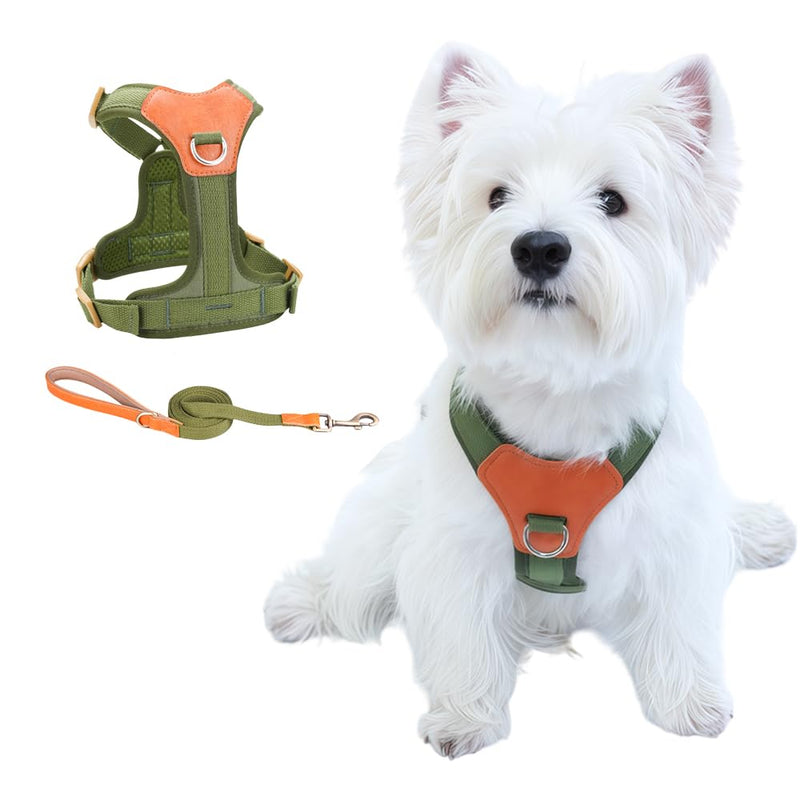 No-Pull No-Choke Dog Harness and Leash Set - Adjustable Soft Padded Vest, Lightweight Retro Design for Small Medium Dogs and Puppies, Easy Control and Comfortable Walk (Green, M) Green M(Chest 19.7"-25.2") - PawsPlanet Australia