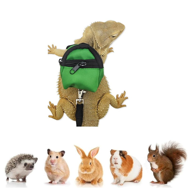 Bearded Dragons Harness Leashes Set Cute Backpack Back to School Design for Small Pets Reptile Lizard Crested Gecko Chameleon Rat Hamster Squrriel Ferret Photo Shoot (Green) Green - PawsPlanet Australia