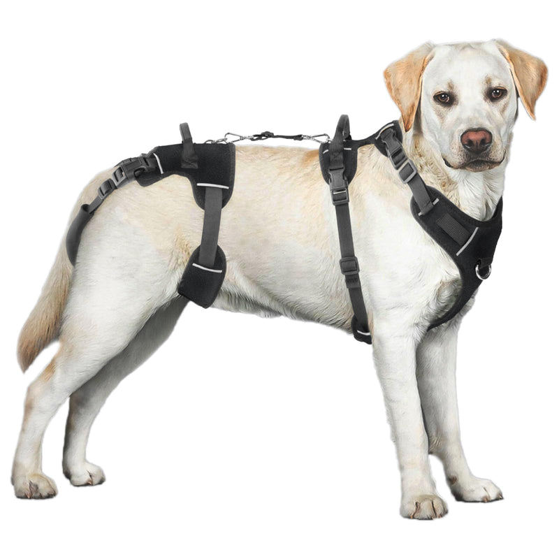 Dog Lift Harness, Dog Lift Sling Carrier with Handle & Shoulder Sling, Support Harness for Rear Back Legs Helps,Disabled,Arthritis,Joint Injuries,Paralysis Up Stairs（Black,Extra Large） Extra Large Black - PawsPlanet Australia