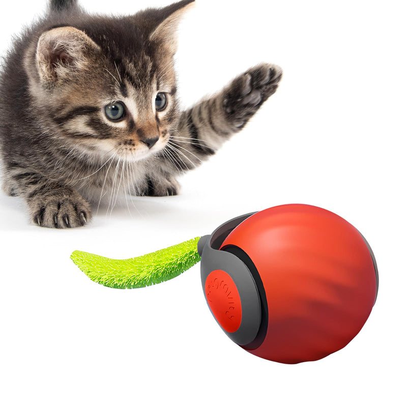 Speedy Tail 2.0 Cat Toy, 2025 New Speedy Tail Cat Toy, Interactive Cat Ball Toy, USB Rechargeable Smart Cat Toys Ball, Two Speed Adjustment, with Replacement Tail (Orange) Red - PawsPlanet Australia