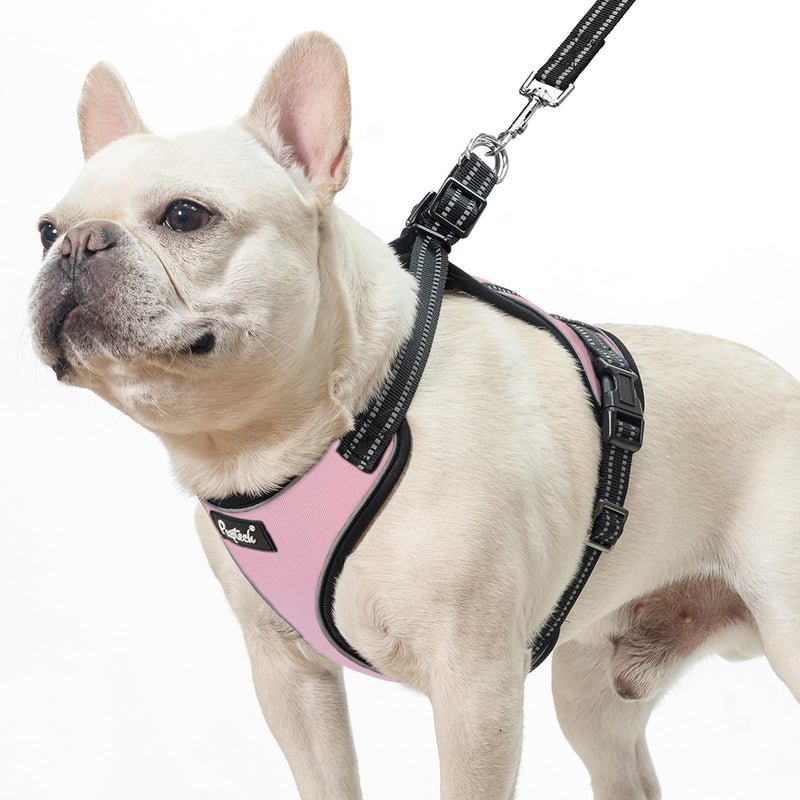PUPTECK Dog Harness and Leash Set Small Sized, Adjustable Reflective Escape Proof Puppy Vest, No Pull Walking Harness Easy Control S (6-14lb, NECK 15", CHEST 14"-17") Pink - PawsPlanet Australia