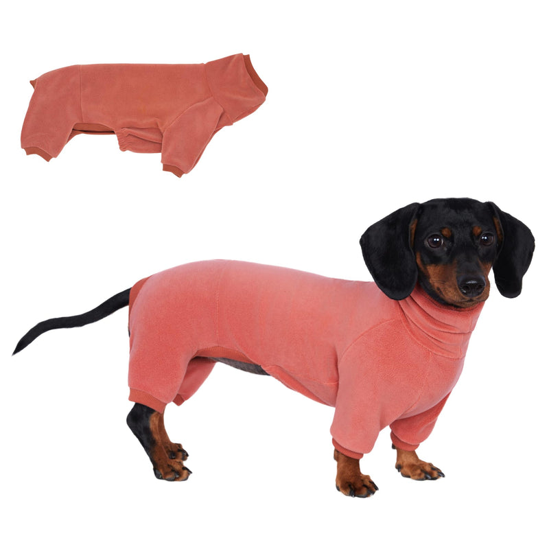 Dachshund Dog Turtleneck Warm Sweater, Winter Clothes, Suitable for Dachshunds (red, Small) red - PawsPlanet Australia