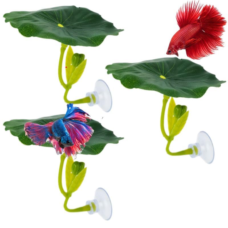 3 pcs Set Betta Fish Bed Leaf Hammock for Betta Fish, Practical Resting Spot, Comfortable Rest Area for Fish Aquarium Decoration Ornaments (3 x Green) 3 x Green - PawsPlanet Australia
