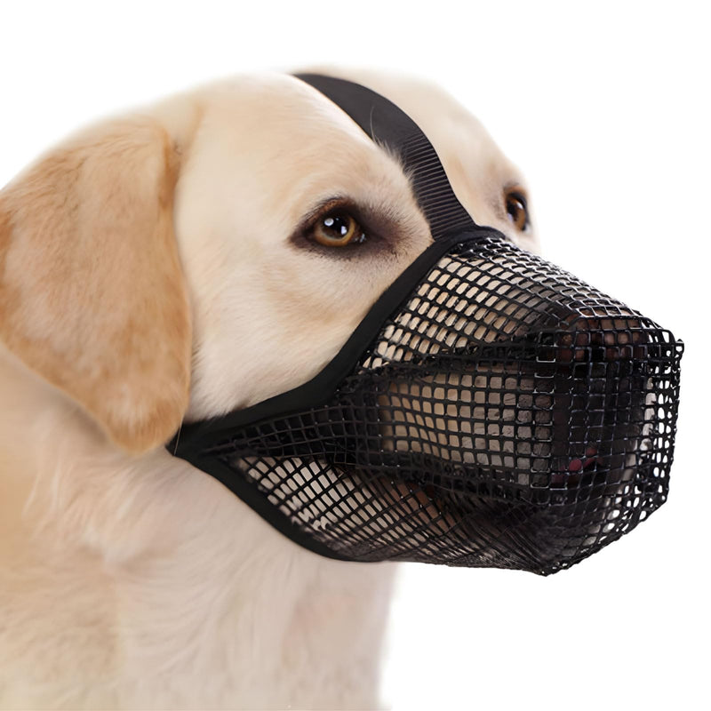 Dog Muzzle - Black Soft Mesh Breathable Mouth Cover Designed Specifically for Small, Medium, and Large Dogs - Effective Chew Guard and Bite Prevention to Ensure Safe, M Black - PawsPlanet Australia