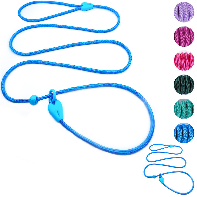2 Pack Slip Leads for Dogs 6FT Slip Leash for Dogs Dog Lead Strong Nylon Dog Training Leash No Pull Rope Dog Leash Dog Leashes for Small Medium Dogs(Blue+Blue) 6 FT BU+BU - PawsPlanet Australia