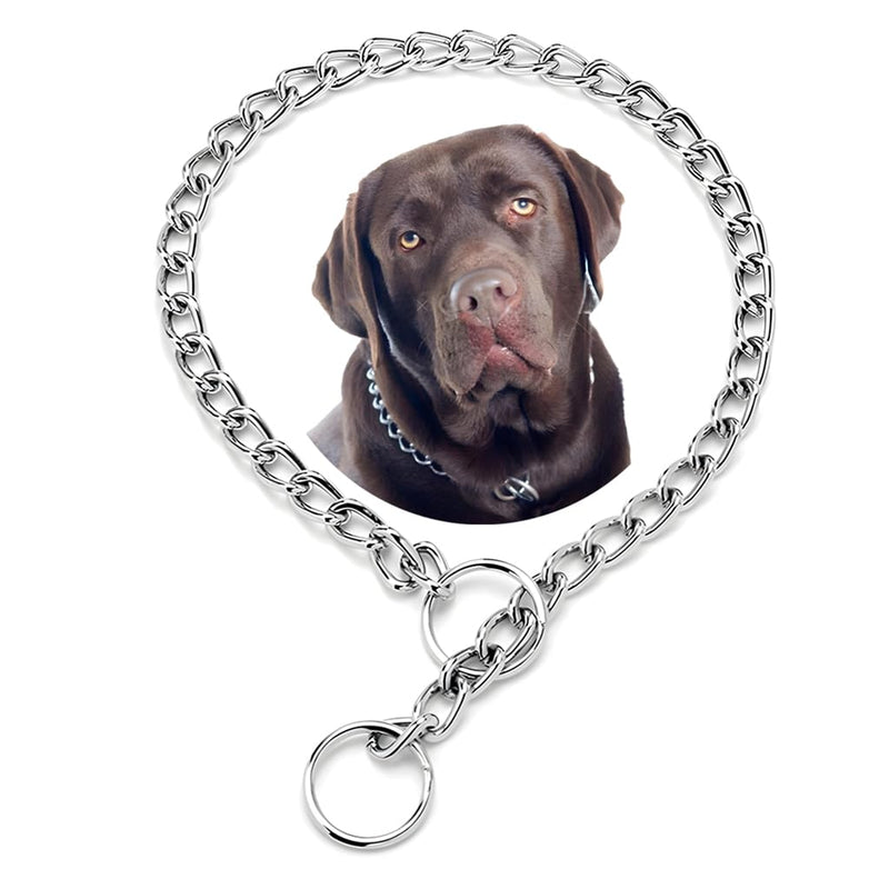Chain for Dogs,Silver S Metal Slip Link Training Heavy Duty Dog Collar Martingale Puppy Collars for XXS XS Small Medium Large Big XL Breed Dogs S(Neck Max 16inch)D2.5mm Silver - PawsPlanet Australia