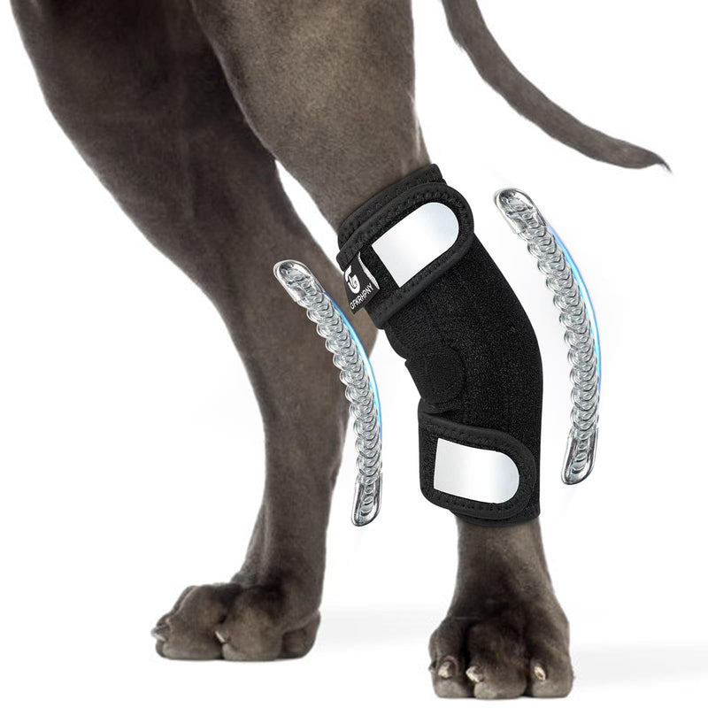 Dog Leg Braces for Back Leg for Torn ACL & CCL, Rear Leg Hock Ankle Brace with Metal Spring Inserts Reflective Straps, Dog Wrap Brace for Bottom Joint for Injury Sprain, Wound Care M - PawsPlanet Australia