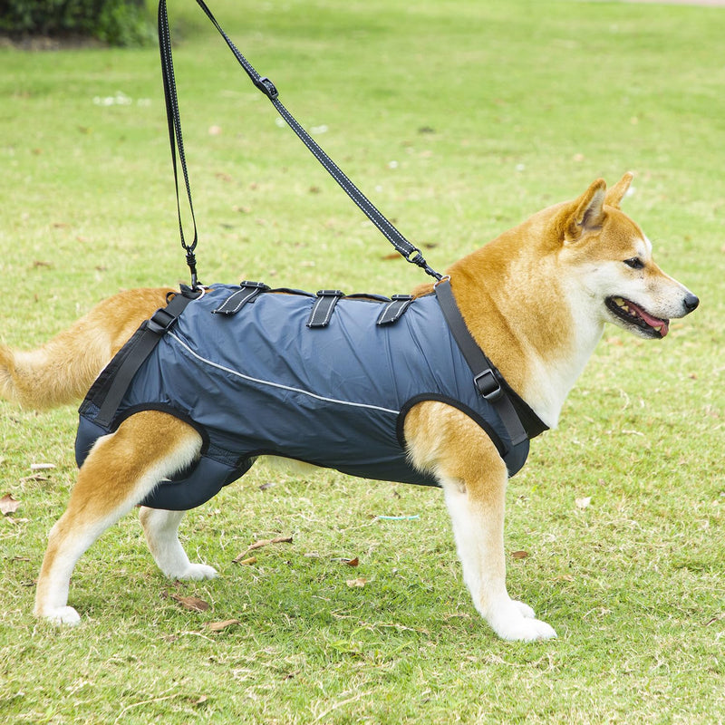 Dog Lift Harness,Dog Assistance Strap,Pet Support & Rehabilitation Sling Lift,Adjustable Padded Breathable Straps for Senior,Joint Injuries,Disabled Dogs Navy Blue Large - PawsPlanet Australia