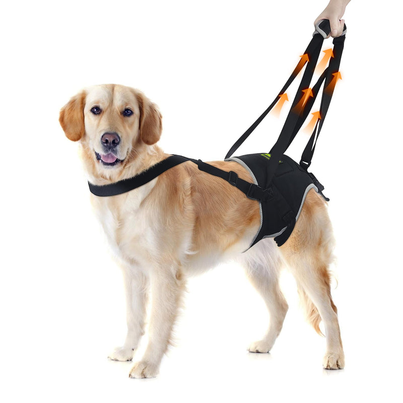 Dog Lift Harness for Extra Large Dogs, Dog Harness with Handle for Lifting, Dog Back Leg Support Harness for Weak Hind Legs to Prevent Dogs from Falling, Breathable and Comfortable, Easy to Wear- XL Hind Leg Sling - PawsPlanet Australia