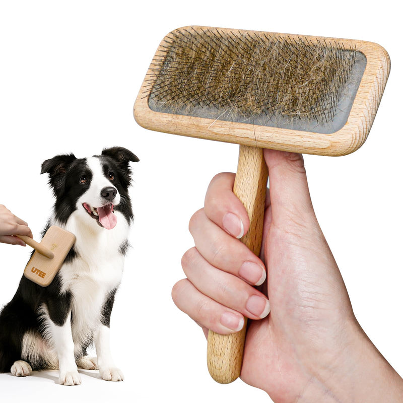 UTEE Slicker Brush for Medium Dogs – Corgis, Cocker Spaniels, Schnauzers, Long-Haired Breeds – Professional Grooming, Fluff, Detangle & Style – Ergonomic Beech Wood Handle, Gentle & Effective - PawsPlanet Australia