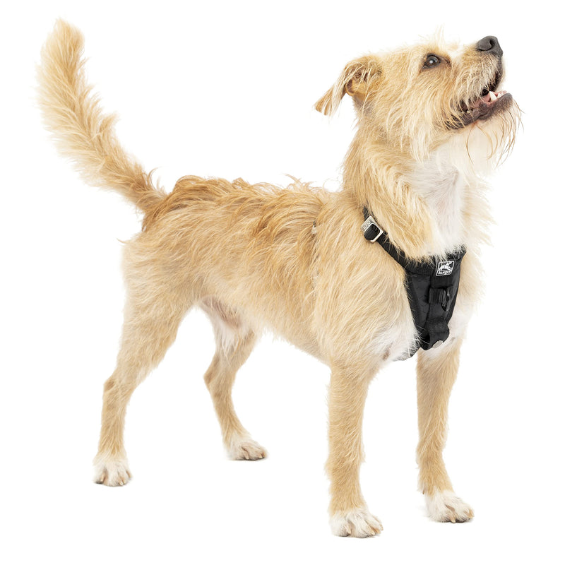 Kurgo Enhanced Strength Tru-Fit Smart Dog Harness, Crash Tested Car Safety Harness for Dogs, No Pull Dog Harness, Includes Pet Safety Seat Belt Tether - Black, X-Small - PawsPlanet Australia