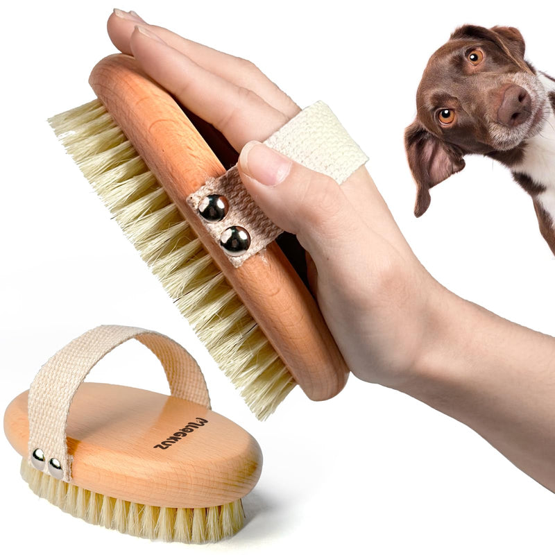 Professional Dog Brush Boar Bristle for Short-Haired Dogs - Reduces Shedding, Non-Slip Grip, Gentle Grooming - PawsPlanet Australia
