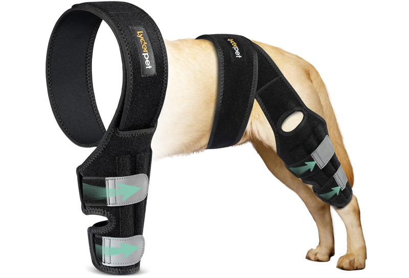 Dog ACL Knee Brace for Torn Hind Leg, Rear Leg Braces for Dogs Luxating Patella, Flexible and Strong Support Metal Splints Joint Care Easy to Put On and Off Braces for Back Leg Medium M - PawsPlanet Australia