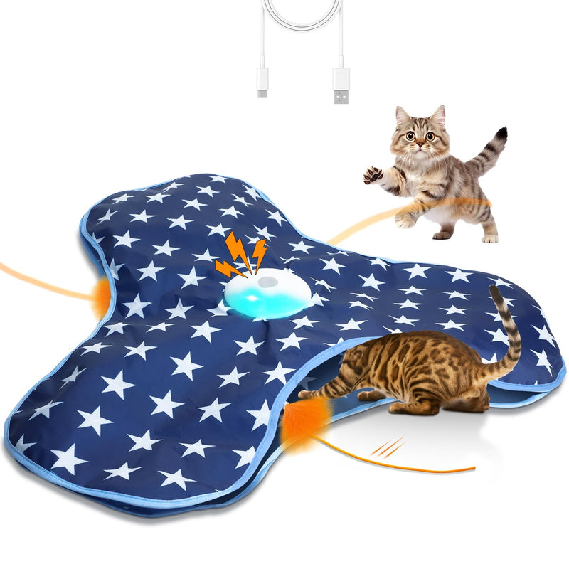 Cat Toys Interactive Hide and Seek with Chirping, Motion Activated Cat Exercise Catching Game Moving Concealed Feathers Hidden in Bag - PawsPlanet Australia