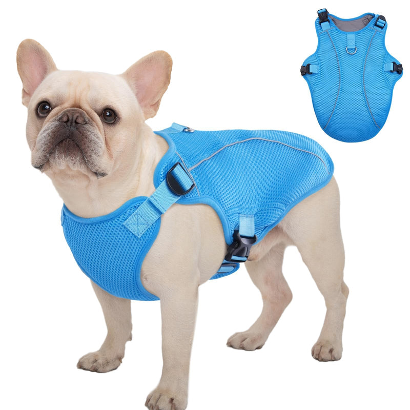 Kuoser Dog Cooling Vest Harness, Small Puppy Cooler Jacket with Adjustable Buckle for Outdoor Beach, Hiking, Training Blue S S (Chest Girth:16.9'')