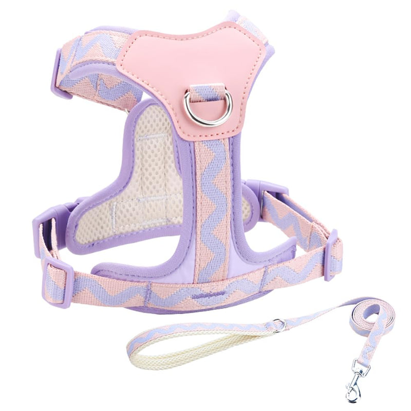 Medium Dog Harness and Leash Set, No Pull Dog Harness with 2 Leash Clips, Anti-Escape Easy Walk Puppy Harness, Adjustable Dog Vest Harness for Training Walking for Medium Dogs(Purple, M) Purple - PawsPlanet Australia