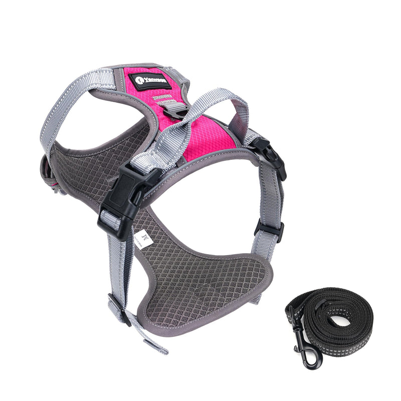 Reflective Dog Harness with Handle for Small Dogs, Adjustable Dog Harness and Leash Set with 2 D-Rings - PawsPlanet Australia
