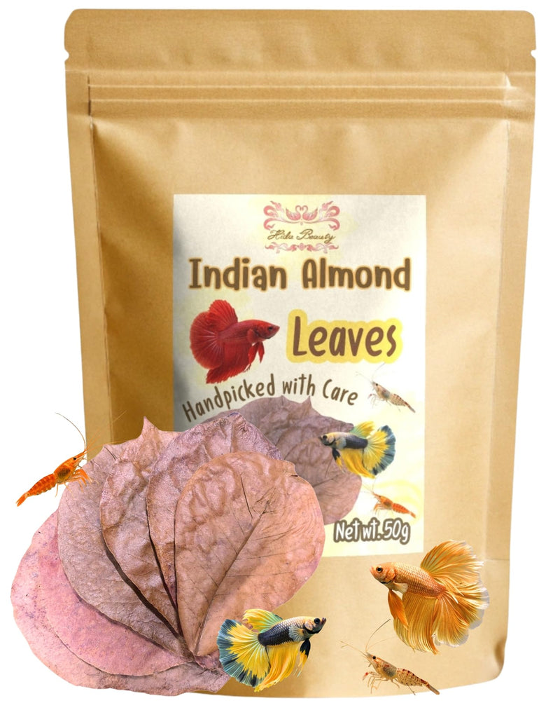 Indian Almond Dried Leaves Premium Catappa Leaf Aquarium Water pH Tannin for Betta Fish, Shrimp 1.76oz, (24+ Leaves) - PawsPlanet Australia
