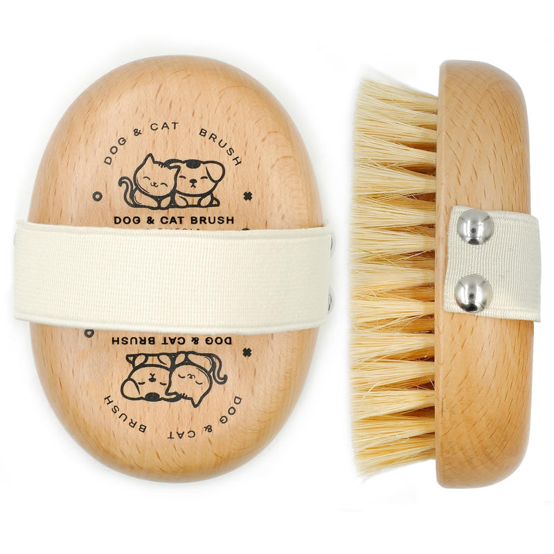 Soft Dog Brush, Pets Palm Brush for Dog and Cat Grooming - Bristle Brush for Dogs Short Haired - Soft Bristle Dog Brush Handheld - Ideal for Small Dogs Daily Gentle Grooming Brush (Beechwood) - PawsPlanet Australia